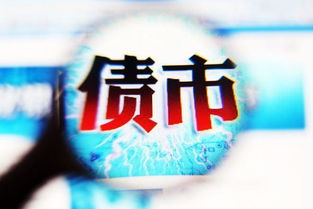非融資性擔(dān)保 業(yè)務(wù)范疇、監(jiān)管現(xiàn)狀與行業(yè)挑戰(zhàn)