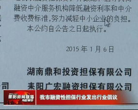 規范非融資性擔保業務，護航市場健康發展——我市融資性擔保行業發出行業倡議